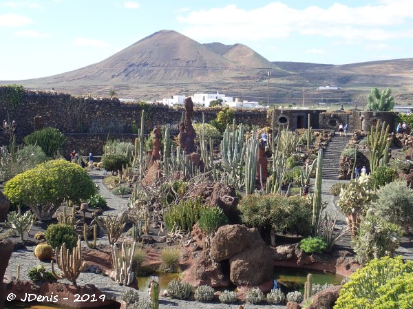 Lanzarote - Le « jardin de Cactus » de César Manrique dans le nord-est de l’île.