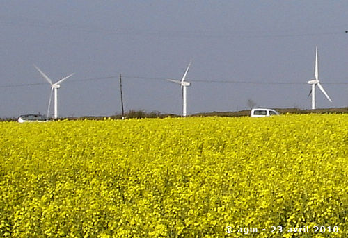 Éoliennes en Bretagne - agm -avril 2010