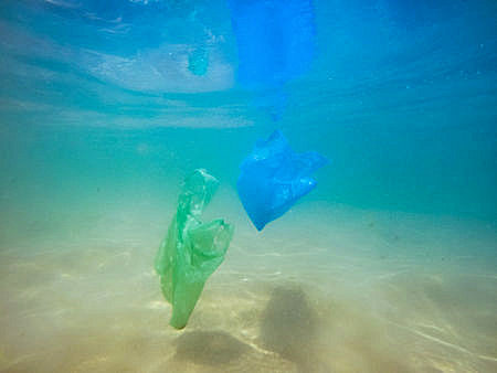 Plastiktüten verschmutzen die Weltmeere - CC BY 3.0