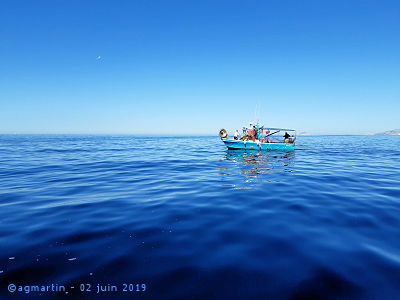Petit bateau de pêche vers Marseille