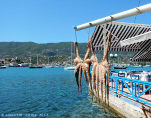 Séchage de poulpes dans un restaurant de Poros - Grèce - mai 2017